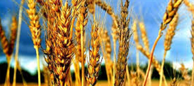 Bejukotay, con el rabino Moshe Bendahan