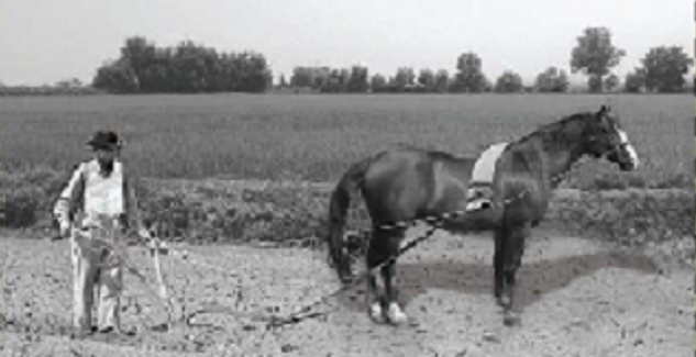 Itzjak Yosef Lehrer: dor jamishi ba-Aretz al sifró “Gueulá Titnú La-áretz”