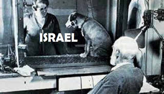 Las guerras de Pavlov