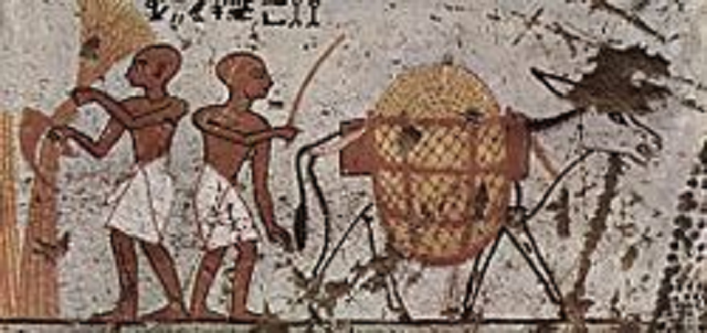 Isajar: quinto hijo de Jacob