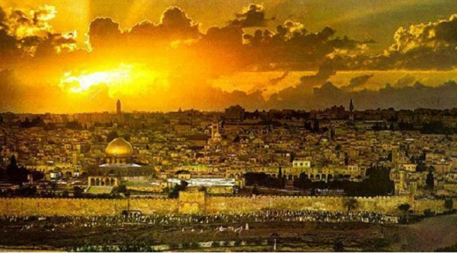 Margen Protector en mi escuela