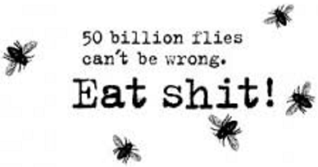 ¿Pueden equivocarse tantas moscas?