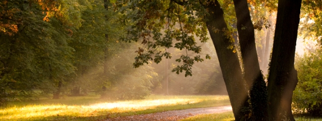 Reé, con el rabino Moshe Bendahan