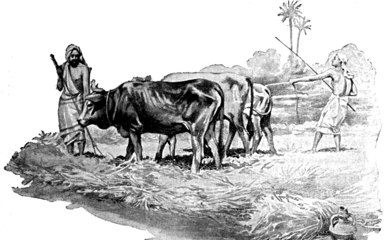 Ki Tetzé, con Irit Green