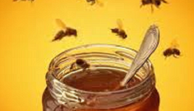 Moscas y Miel