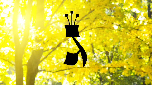 Los secretos de Janucá (1ª parte)