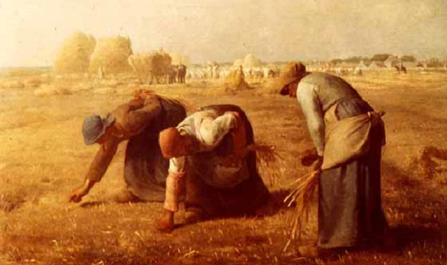 ¿Qué son Leket, Shijeja y Pea (la rebusca)?