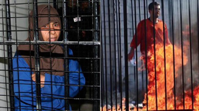 La información con comentario 05/02/2014