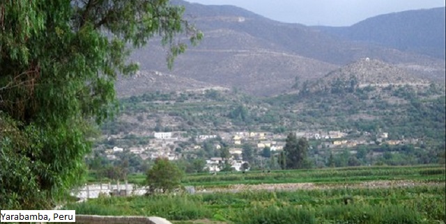 Luis Esteban González Manrique—History of the Málagas, a Family of Conversos in Peru