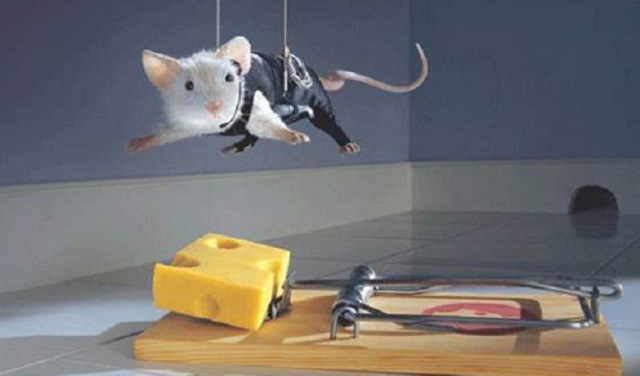 Los ratones pirómanos y la guerra santa anal