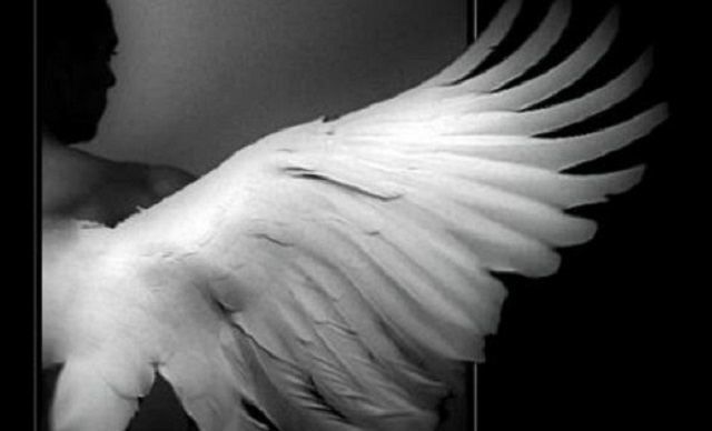 El novio desaparecido (Ángeles 10)