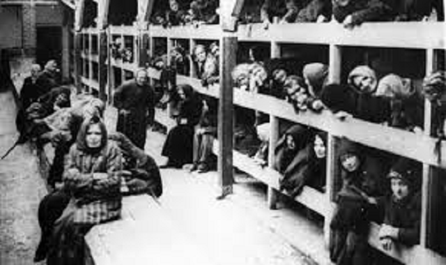 Netuním al majané ha-hashmadá Auschwitz