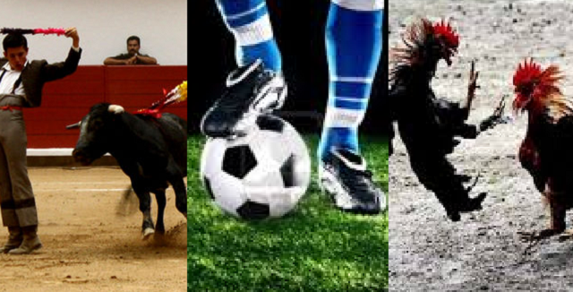 Los deportes de las corridas de toros, las peleas de gallos y el fútbol sionista