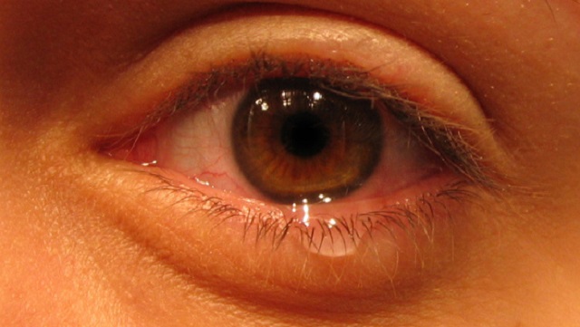 Reish – guimel – shin: sentir emociones