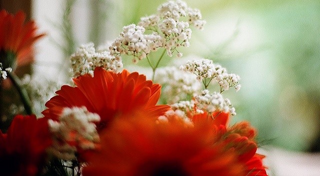 Información diferente para comenzar el 5776