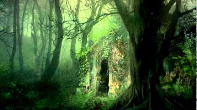 Joseph y Koza (1ª parte)