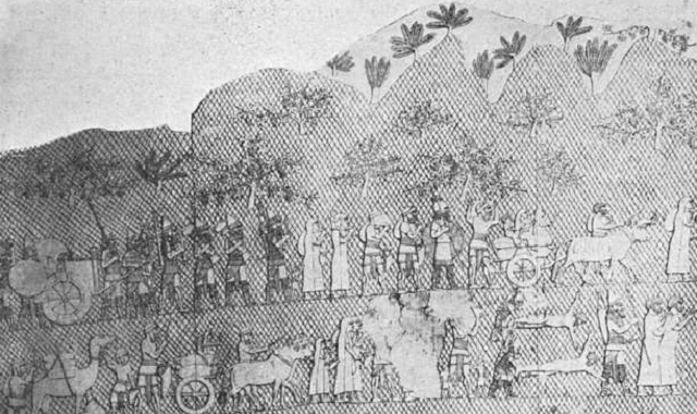 Salmo 48: la belleza de Jerusalén