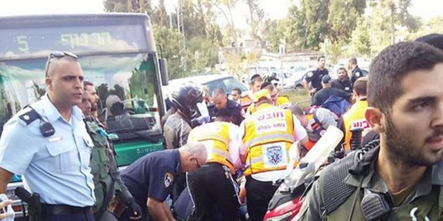 La información con comentario 24/11/2015