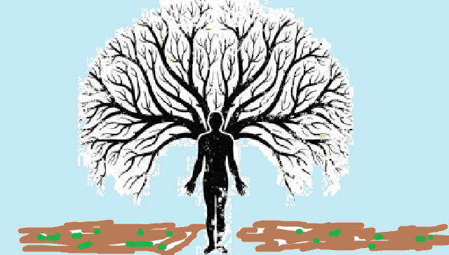 El origen de los apellidos Cofre, Lizana, Quirós y otros sin origen judío