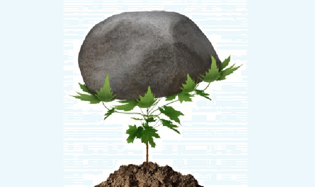 Janucá: la primera Guerra de Religiones