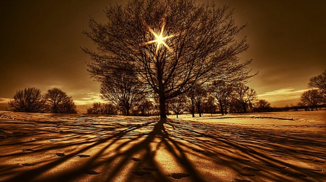 El origen de los apellidos Medel, Rovero, Guedes y Pinedo