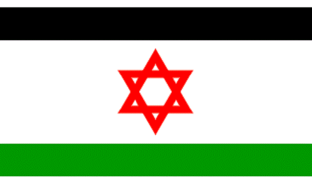 Un Estado para dos pueblos, con David Malowany