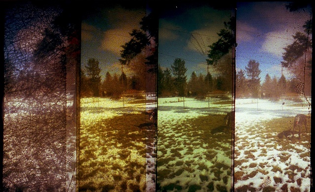 El origen de los apellidos Verde, Font, Puentes y Corona