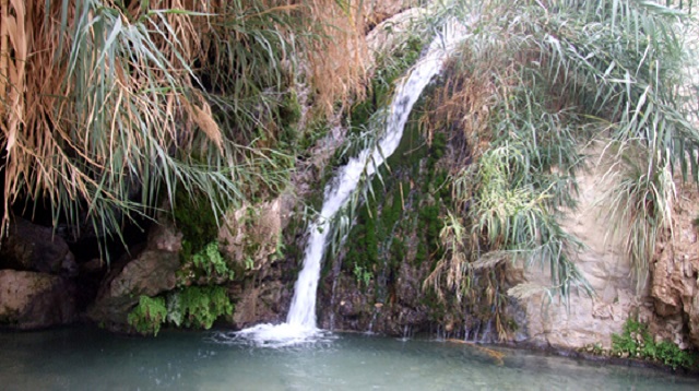 Salmo 63 de David, cuando estaba en el desierto de Judá