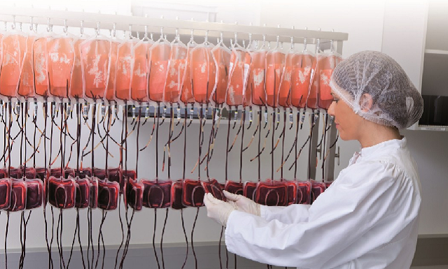 Banco de Sangre Comunitario, innovador proyecto