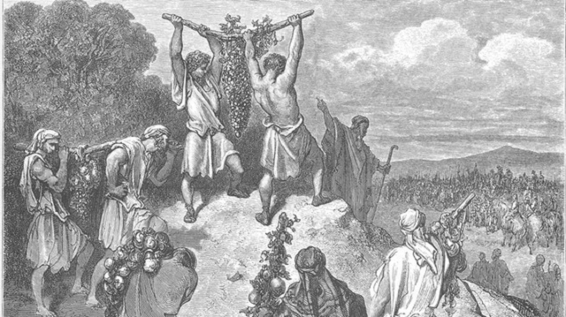 Los números o Misparím