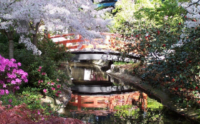 Persas, jardines y café