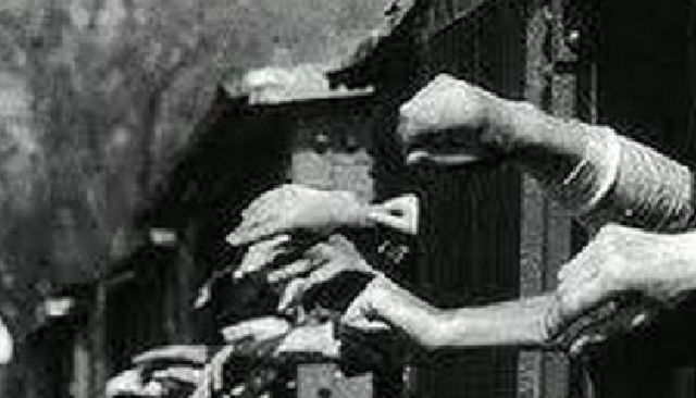 La resistencia en el Holocausto, con Nora Gaón, del Museo de los Combatientes del Gueto (Beit Lojamei Haguetaot)