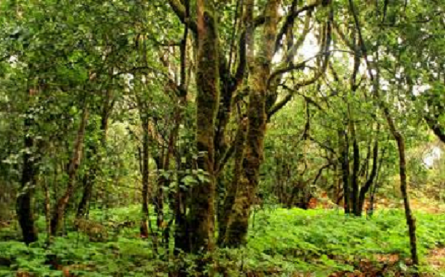 La huella toponímica de los judeoconversos en Canarias, con Juan Manuel Valladares