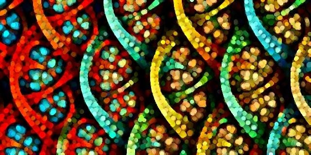 El origen de los apellidos Barroso, Requena, Colmán y Viyuela