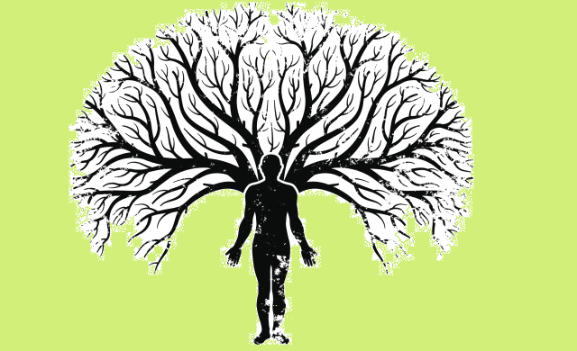 El origen de los apellidos Torres, Bautista, Alcaraz y Acosta