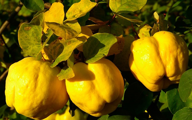 Antes y después del ayuno de Kipur