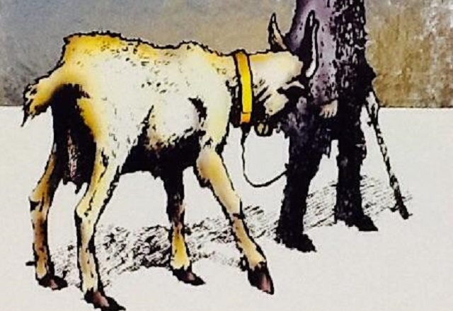 Hershele y Hanukkah (y 2ª parte)