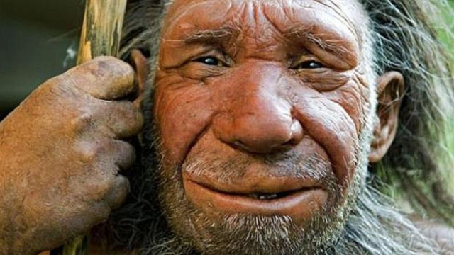Mi abuelo neandertal