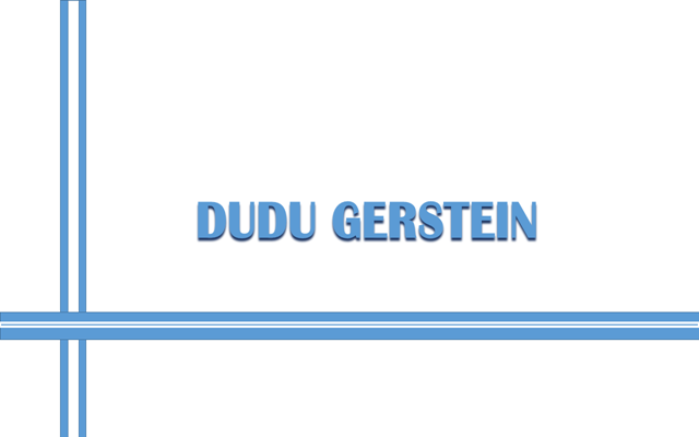 Dudu Gerstein: más allá del color