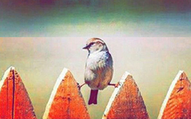 Acostumbrarse a acostumbrarse