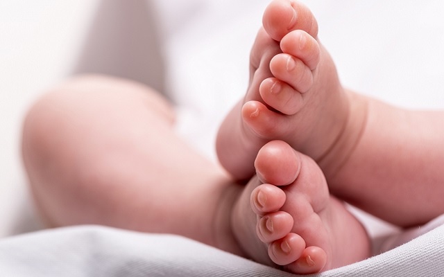 Leo, JewBer y cine online francés