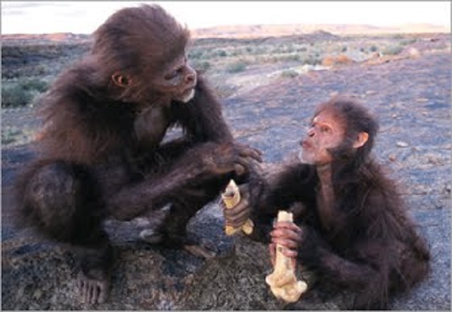 Desde el Homo a las creencias religiosas (I), con Mauricio Zieleniec