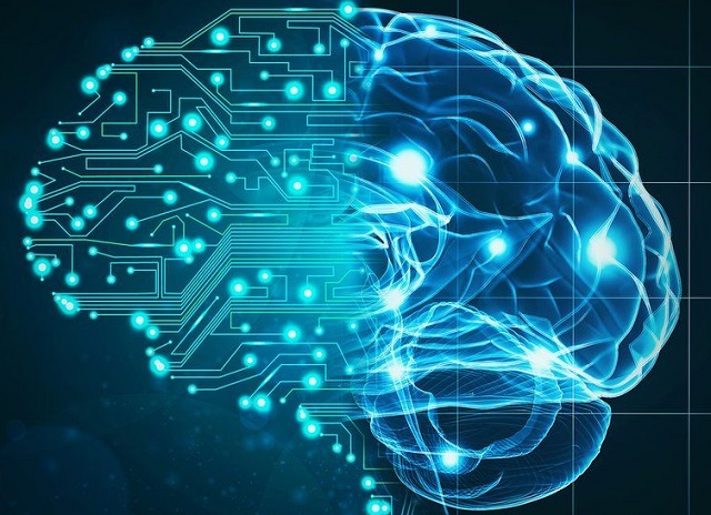 La aplicación de la física cuántica en el cerebro, con Alejandra Mar