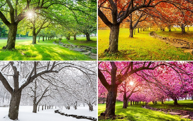 Las cuatro estaciones