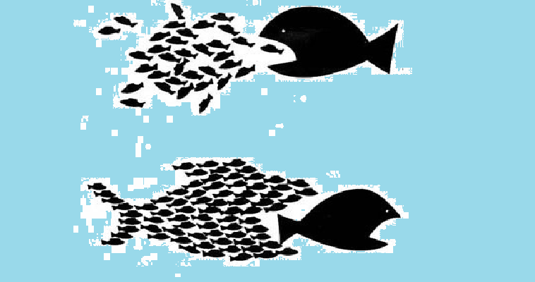 Mayoría de minorías