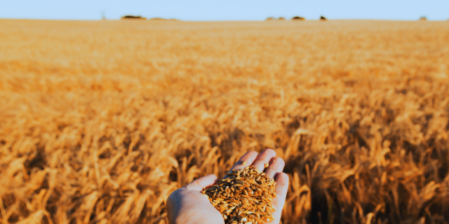 Justicia, caridad y conciencia