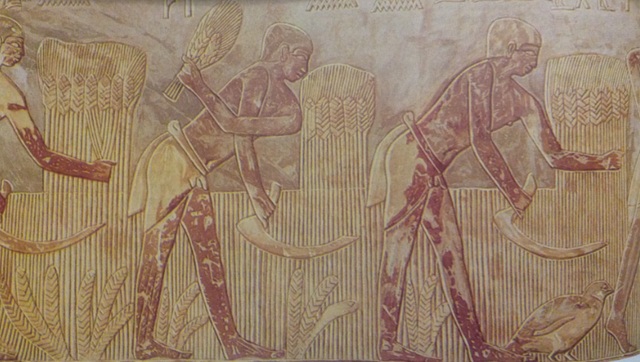 El rollo de Rut (I), narrado en época de los Jueces en Israel