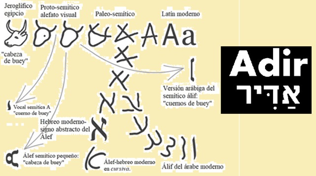 La fuerza de las letras hebreas (II): Adir