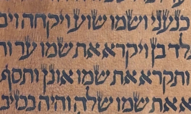 Un rollo del “Génesis” del siglo XIII o XIV en el Museo ANU