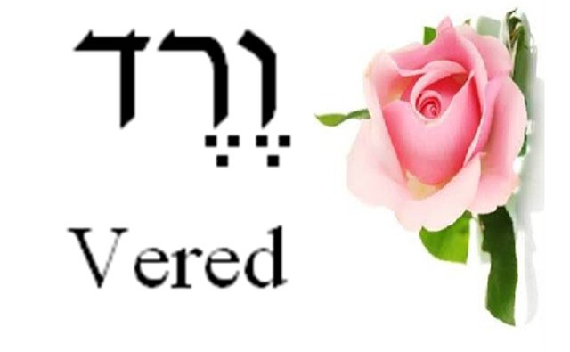 La fuerza de las letras hebreas (VII): Vered
